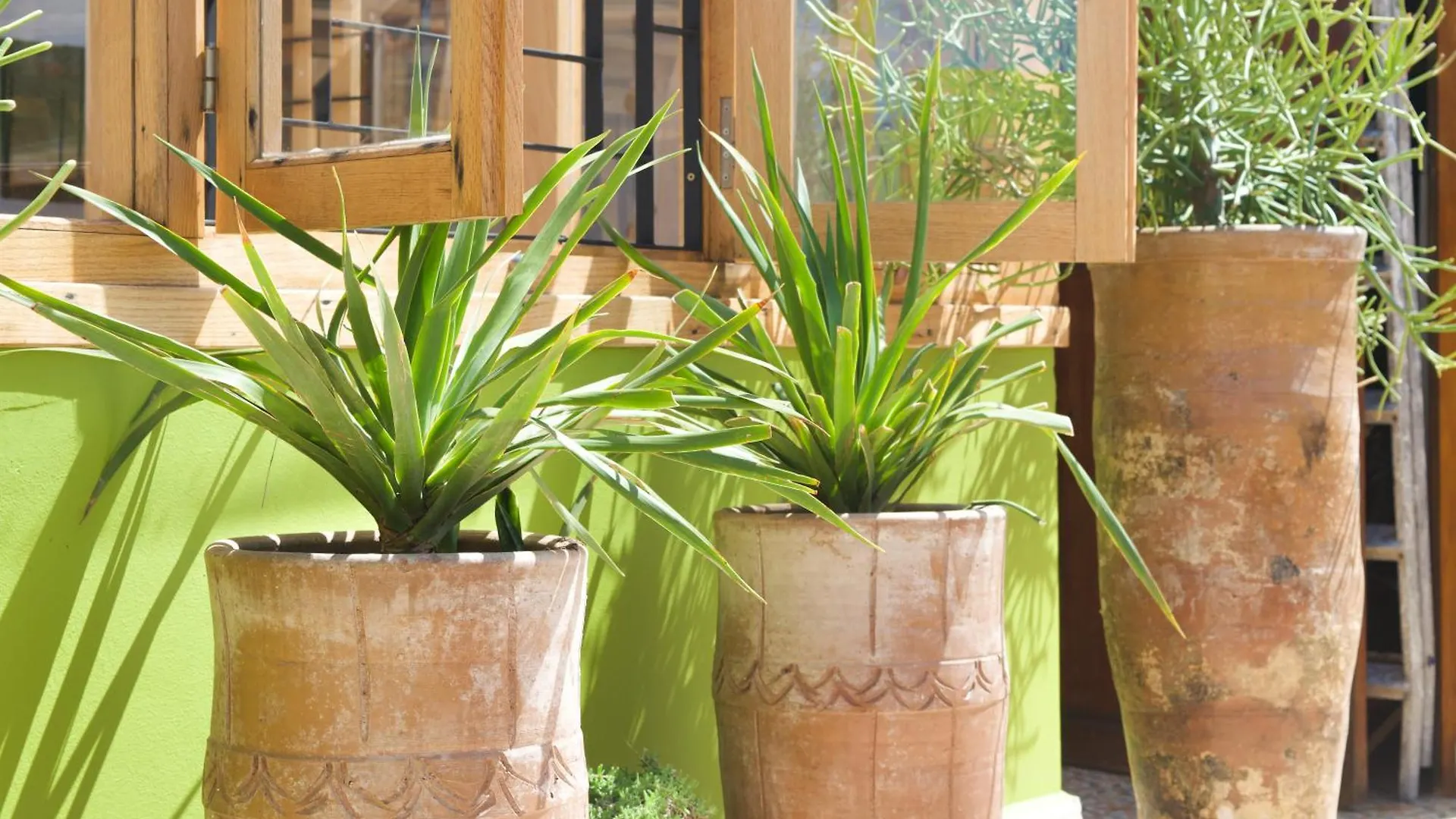 Riad Le Khan Mogador Esauira